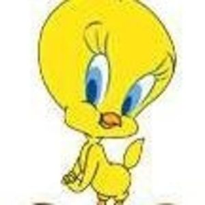 Meet your Posher, Gail